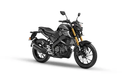 Yamaha MT-15 V2.0 Metallic Black DLX image